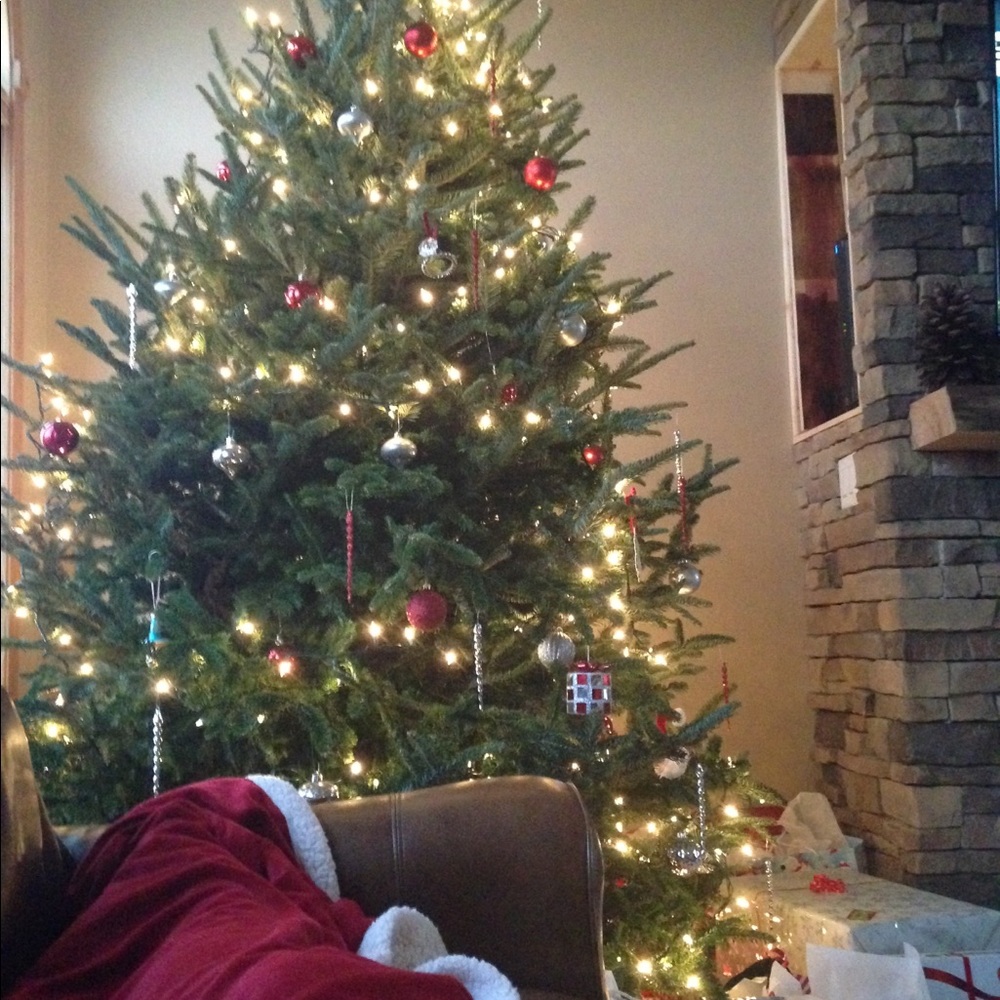 Meet your Posher, Dakota